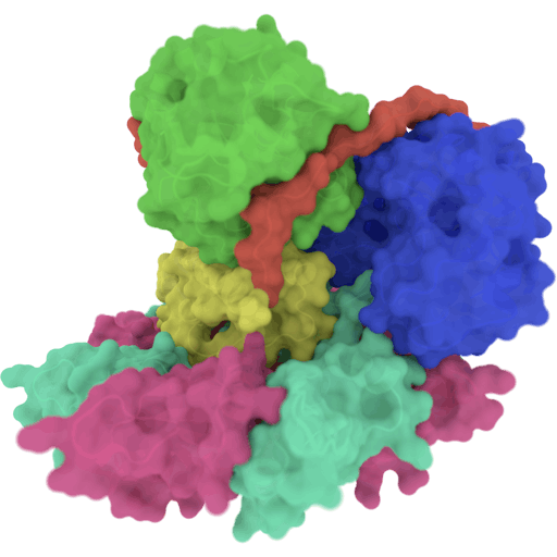 3D visualisation of Lysins