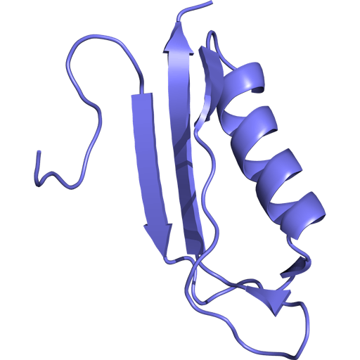 3D visualisation of Amyloid precursor