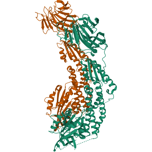 3D visualisation of Pore-forming toxins