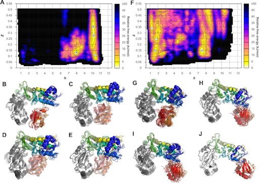 Molecular dynamics simulations of different missense variants of UBE3A