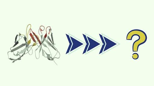 Molecular dynamics simulations of different missense variants of UBE3A