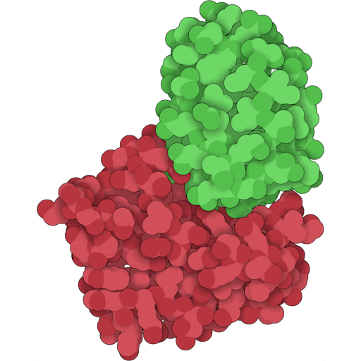 3D visualisation of Ribonucleases