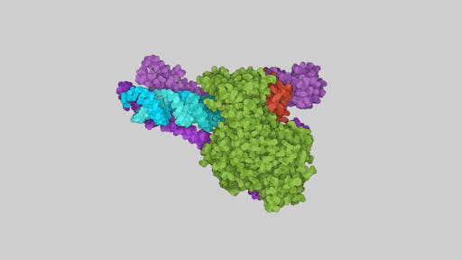 3D visualisation of a protein, in a colourful cartoon artistic style