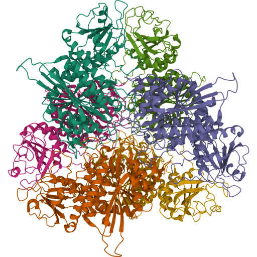 3D visualisation of Aminopeptidases