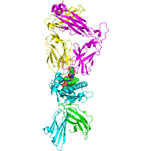 3D visualisation of Immune signalling