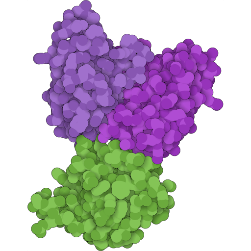 3D visualisation of Antibody-antigen